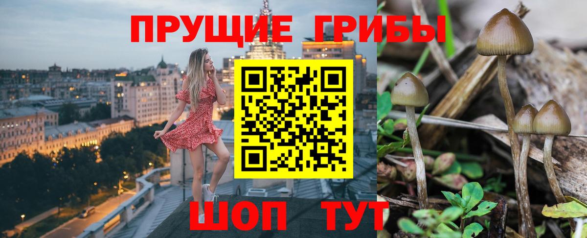 Псилоцибиновые грибы ЛСД  Вход с VPN  Псилоцибиновые грибы GOLDEN TEACHER  Десногорск 
