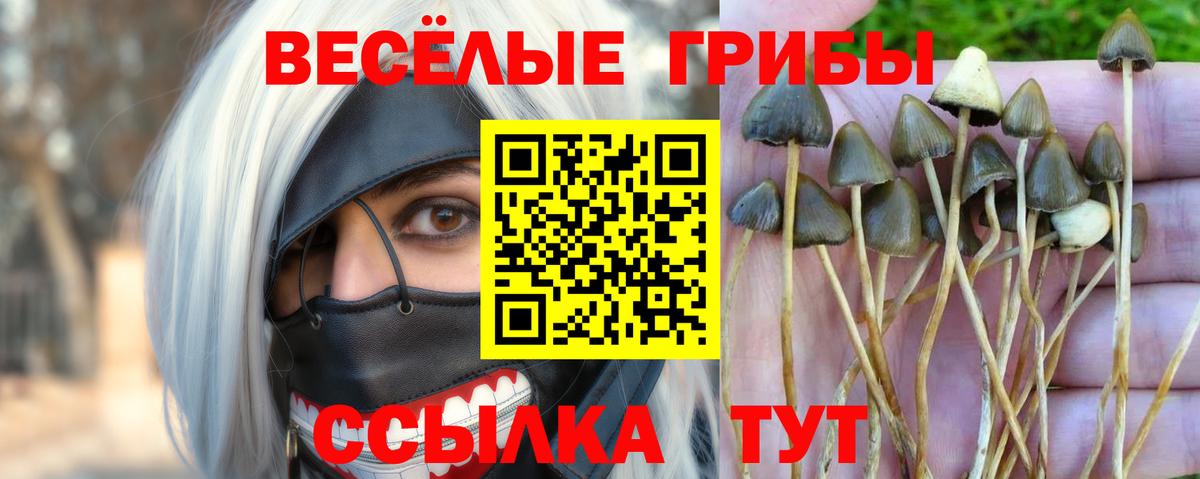 Псилоцибиновые грибы Magic Shrooms Десногорск